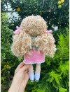 Crochet doll with pet